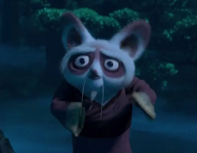 master shifu from kung fu panda